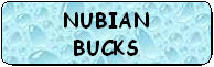 NUBIAN BUCKS